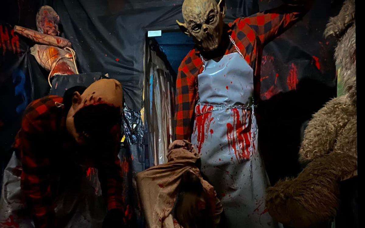 Перформанс Кошмар в Барнауле